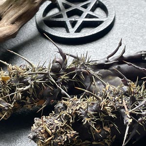 Sanctuary Shield™ Protection Ritual Candle, Black Herb-Infused, Aura Cleansing, Banishing Spell | Ceridwela™ Witchcraft