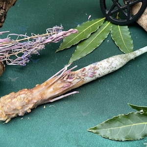 Fast Money Spell Candle, Ceridwela QUICK CASH™ RITUAL Candle, Emergency Money Magic, Urgent Prosperity Spell, Witch Supplies, Crisis Support