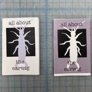 alles over oorwormen // losse losse zine