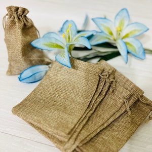 Small Burlap Bags Set of 10 Gift Bags Rustic Wedding Thank You Favor Bag Drawstring Jute Party Favors Brown Small Treat Bags