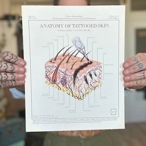 Afb. 3 “Anatomie van de getatoeëerde huid” Tattoo Dermatologie Art Print