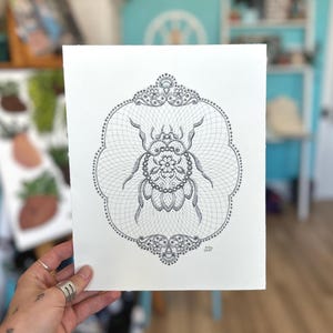 May include: A black and white line drawing of a stylized insect with intricate details, framed in a decorative oval. The drawing is on white paper and signed "Viva 2017".
