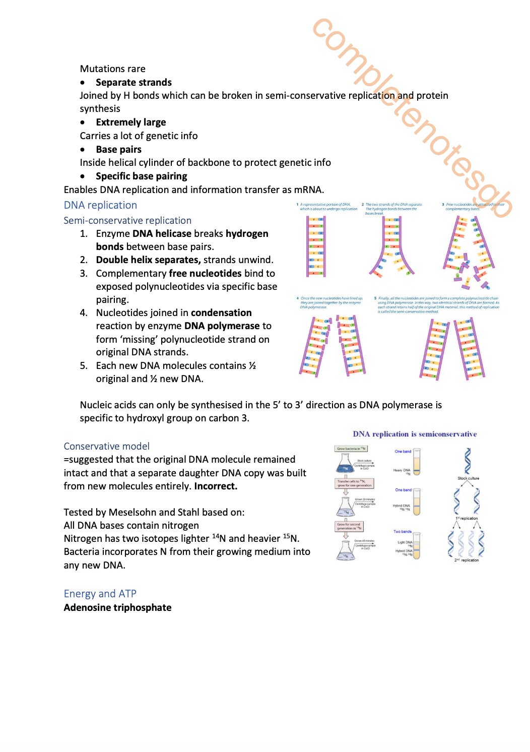 AQA A-level Biology Revision Notes A* Concise | Full Syllabus Covered ...