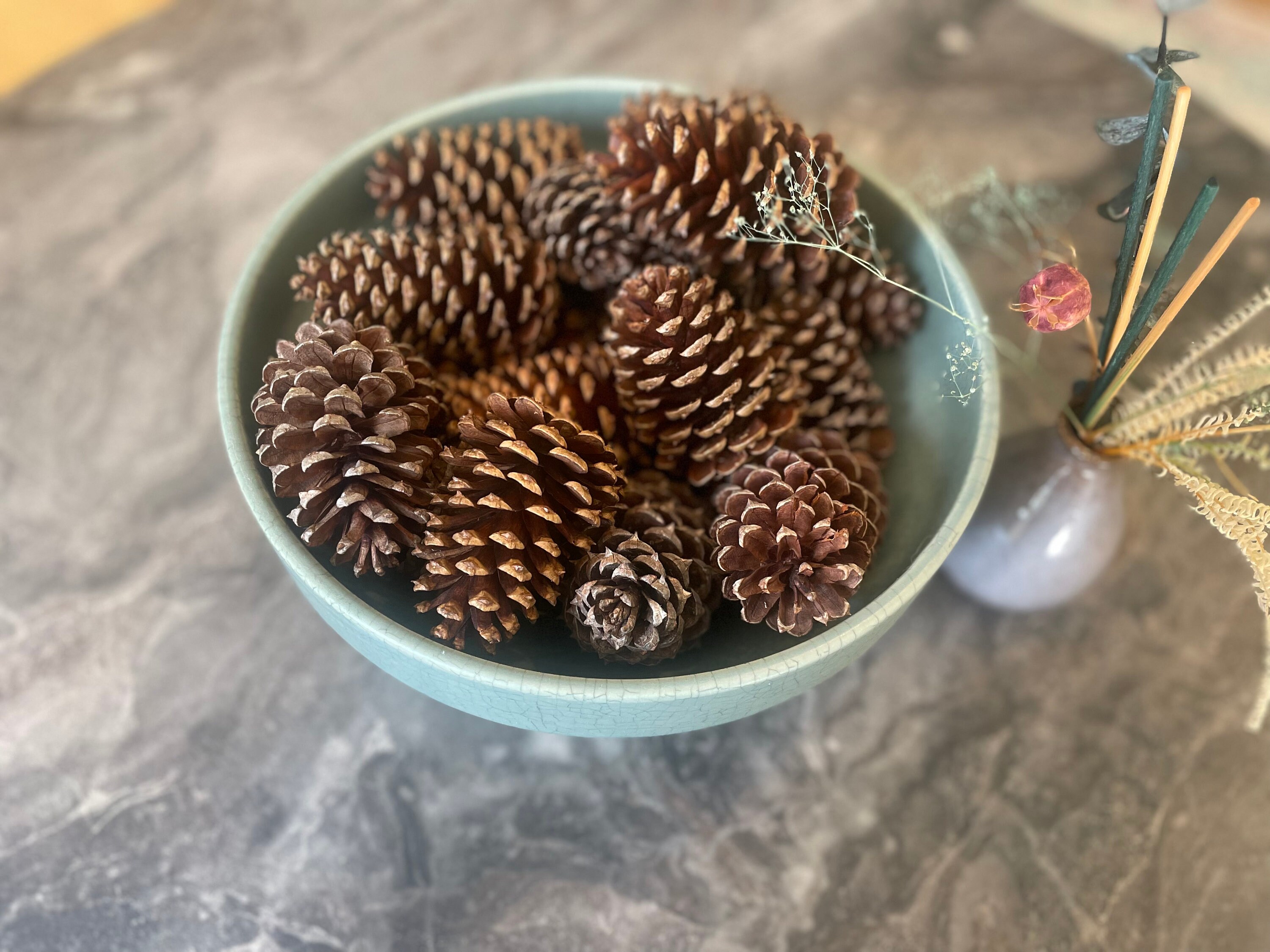Hand-painted Glitter Pine Cones-decorations, Bowl Filler, Christmas  Decorations, Turquoise Pine Cones 