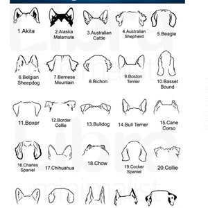 Puede incluir: Dibujos en blanco y negro de 25 razas de perros diferentes, cada uno mostrando la forma de las orejas del perro. Las razas est&aacute;n etiquetadas con los n&uacute;meros 1-25 y sus nombres. Orejas de perro 1-25.
