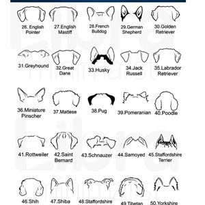 Puede incluir: Ilustraciones en blanco y negro de 25 razas de perros diferentes, mostrando las orejas de cada raza. Las ilustraciones est&aacute;n numeradas del 26 al 50. Las razas de perros se enumeran debajo de cada ilustraci&oacute;n.