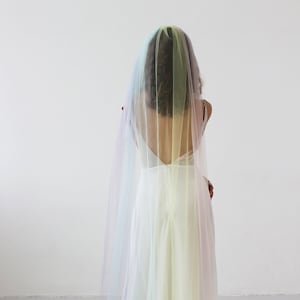 Pastel rainbow veil