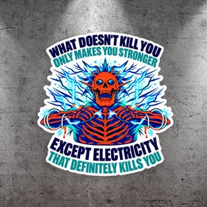 Electrician "What Doesn't Kill You Makes You Stronger Except Electricity!" Hard Hat, Tool Box, Bottle,  Funny Work Stickers, Lineman Gift