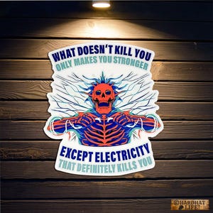 May include: A sticker with a red skull design and blue and orange details. The text on the sticker says "WHAT DOESN'T KILL YOU ONLY MAKES YOU STRONGER EXCEPT ELECTRICITY THAT DEFINITELY KILLS YOU."