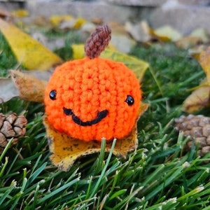 Little Pumpkin