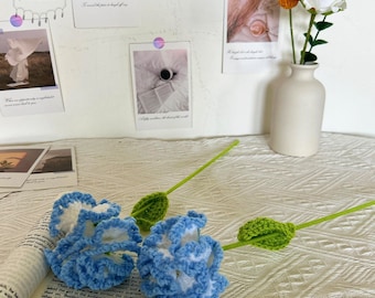 Oeillets faits main au crochet, fleurs tricotées, fleur éternelle, décoration d'intérieur, imitation de fleur, cadeau personnalisé, cadeau de fête des mères