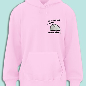 A pink hoodie with a small cartoon character on the front.