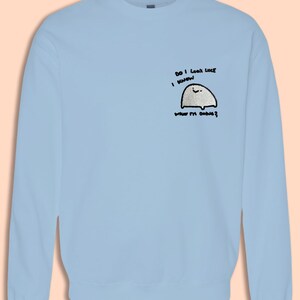 A light blue sweatshirt with a small cartoon character on the front.