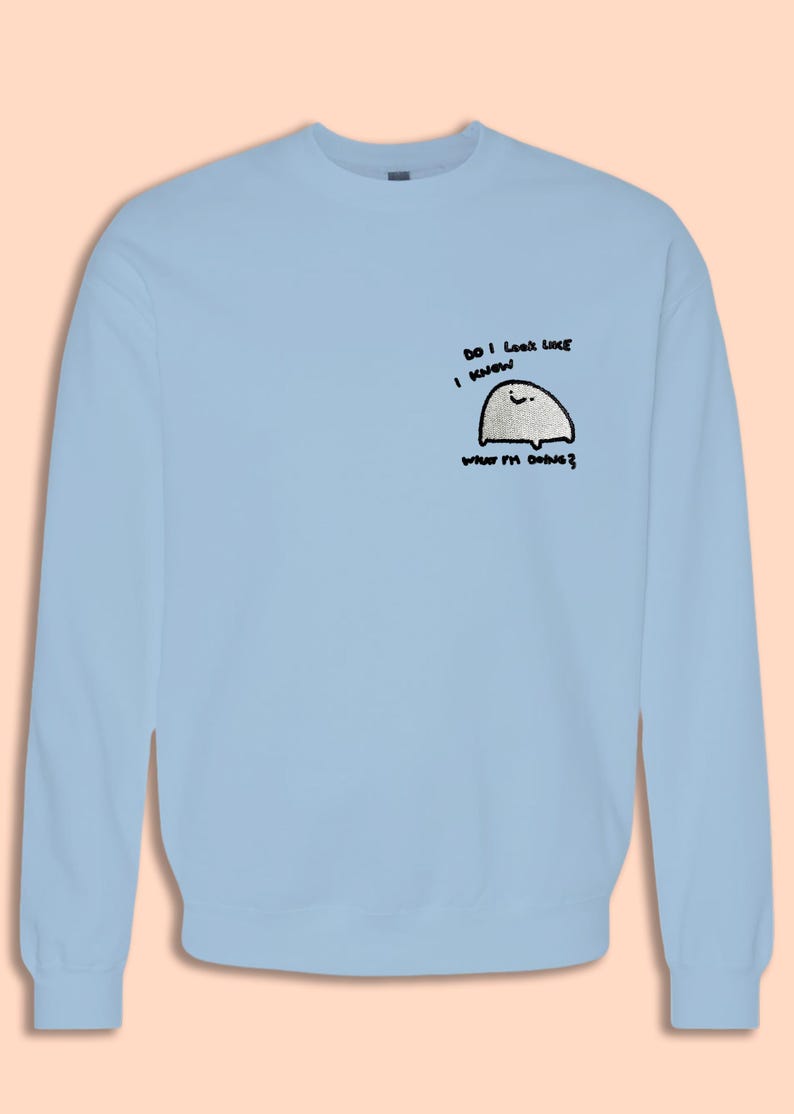 A light blue sweatshirt with a small cartoon character on the front.
