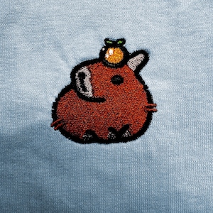 Capybara Chilling Shirt/Sweatshirt/Hoodie