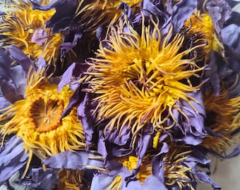 Premium Blue Lotus, Nymphaea caerulea, Dried Flower, Dehydrated Flower, Botanical Herb, Natural Remedy, 1 kg Whole Flower