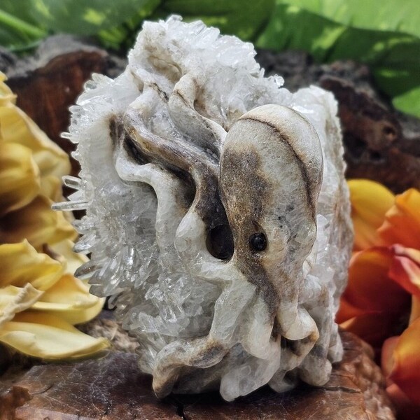 Natural Crystal Quartz Hand-Carved Octopus! Amazon Stone Crystal Cluster, specimen  Statue, Hand Carved Octopus Sculpture