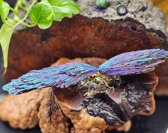 Titanium Kyanite Dragonfly Statue: Gemstone Home Decor