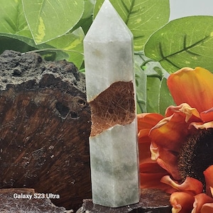 May include: A clear quartz crystal tower with a brown inclusion. The crystal is rectangular with a pointed top. The brown inclusion is a large, irregular shape that runs through the center of the crystal. The crystal is displayed with green leaves and an orange flower.