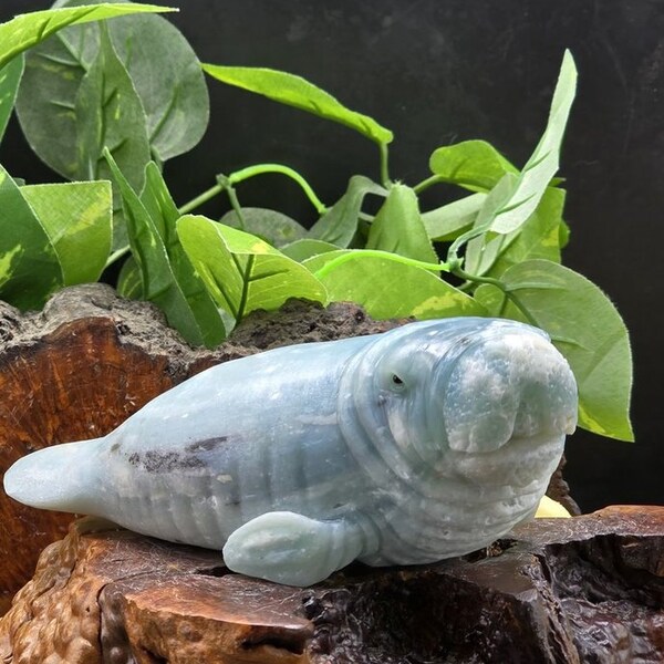 Gorgeous Manatee Sculpture  hand carved Amazon Stone, metaphysical healing reiki, gift for him/her