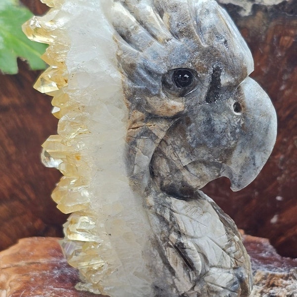 Natural Quartz Crystal Hand-Carved Parrot Statue.