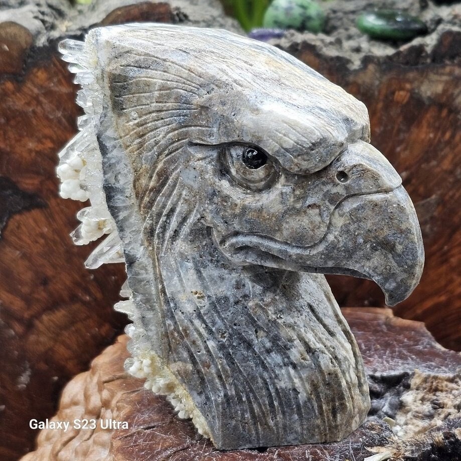 American Harpy Eagle Vulture Bird Iron on Patch Harpia Harpyja Raptor Rain  Forest -  Canada