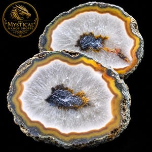 May include: Two polished agate slices featuring concentric bands of yellow, brown, and black surrounding a central crystalline cavity. The stones display a rough, textured outer edge and a translucent white interior with dark mineral deposits.