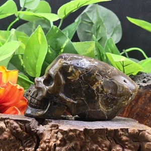 May include: A dark brown and green skull-shaped stone sculpture with intricate details. The sculpture is resting on a wooden surface with a natural wood grain pattern. The text "The Mystical Manor" is visible at the bottom of the image.