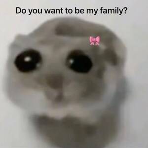 Trauriger Hamster Amigurumi, niedlicher Hamster Tiktok meme, häkeln Hamster rosa Bogen handgemachte Schlüsselanhänger Hamster Bild 9