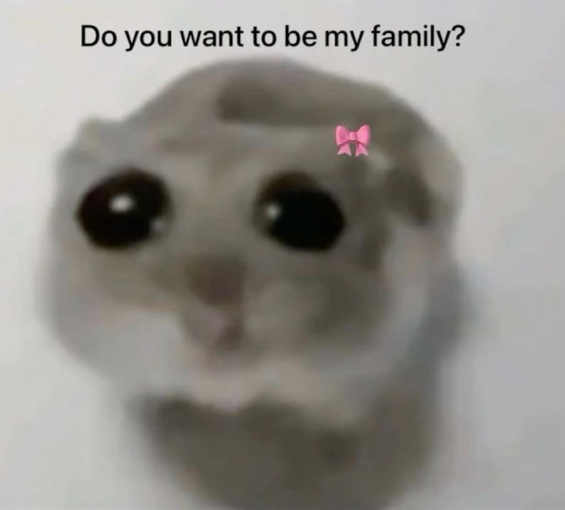 Trauriger Hamster Amigurumi, niedlicher Hamster Tiktok meme, häkeln Hamster rosa Bogen handgemachte Schlüsselanhänger Hamster Bild 9