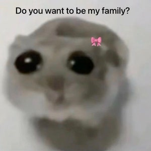 Trauriger Hamster Amigurumi, süßes Hamster Tiktok Meme, gehäkelter Hamster rosa Schleife handgemachter Schlüsselanhänger Hamster Bild 6