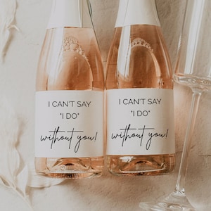 Etichetta stampabile per champagne per proposta di matrimonio da damigella d'onore – Vuoi essere il mio regalo damigella d'onore? – Non posso dire di farne a meno – Mini etichetta per vino