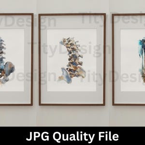 Op de afbeelding: Drie ingelijste aquarellen van menselijke botten. De eerste afbeelding toont een aquarel van een menselijke wervelkolom en bekken. De tweede afbeelding toont een aquarel van een menselijke wervelkolom. De derde afbeelding toont een aquarel van een menselijk dijbeen.