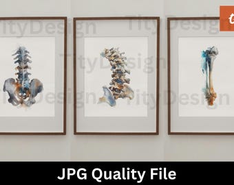 Anatomy Set Blue - Vertebrae - spine anatomy - Chiropractic Art Print Patches - Massage Therapist Gift - Doctor Decor Wall Art Download