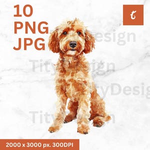 Aquarell Golden Doodle, Golden Doodle png, Golden Doodle Art, Digital Download, Aquarell Hund, Hundeliebhaber Geschenk, Aquarell Clipart