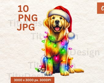 Christmas Golden Retriever Dog png - Christmas Lights Santa Sublimation - Santa Dog Bundle - Labrador Dog PNG - Xmas Cerebration Gifts