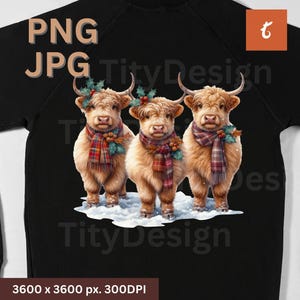 Kerst hooglandkoeien PNG - 3 xmas hooglandkoe sublimatie - vakantie shirt ontwerp - kerstcadeaus - Schotse koe grafische clipart