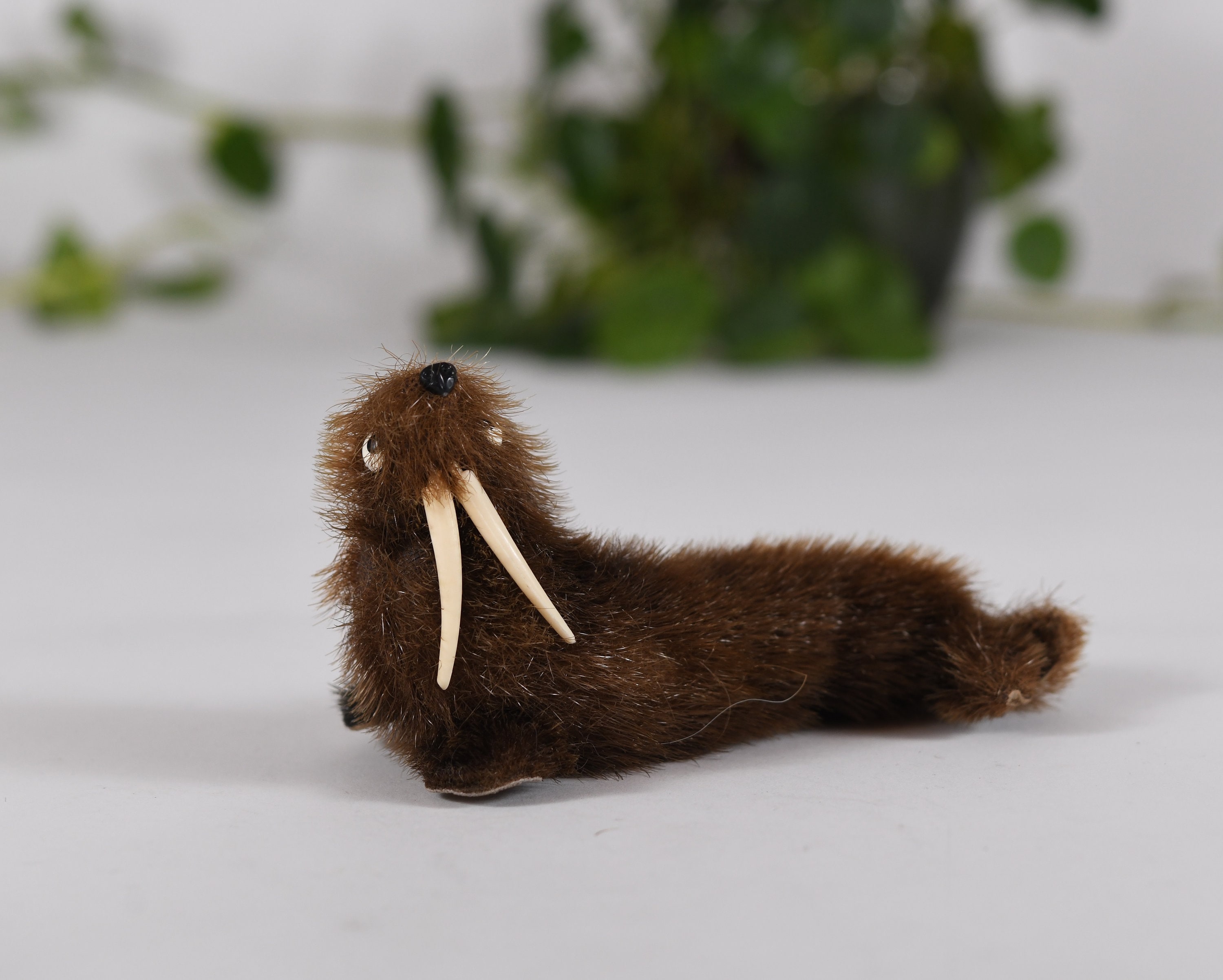 Acheter Peluche Aurora - Otarie à fourrure ECO, 30 cm
