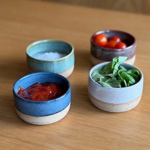May include: Four small, round ceramic bowls with a speckled base. One bowl is blue and filled with red sauce, one is light blue with white salt, one is light grey with green basil leaves, and one is dark brown containing several small red tomatoes.