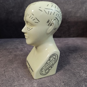 Vintage large ceramic Phrenology head by L N Fowler 16 CM (6,5 inch)