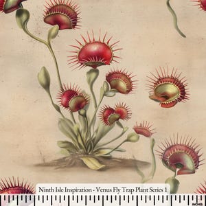 Pode incluir: Ilustração botânica de dioneias. A imagem apresenta várias plantas com armadilhas vermelhas e pontiagudas e caules e folhas verdes. O fundo é bege e o texto "Ninth Isle Inspiration - Venus Fly Trap Plant Series 1" é visível.