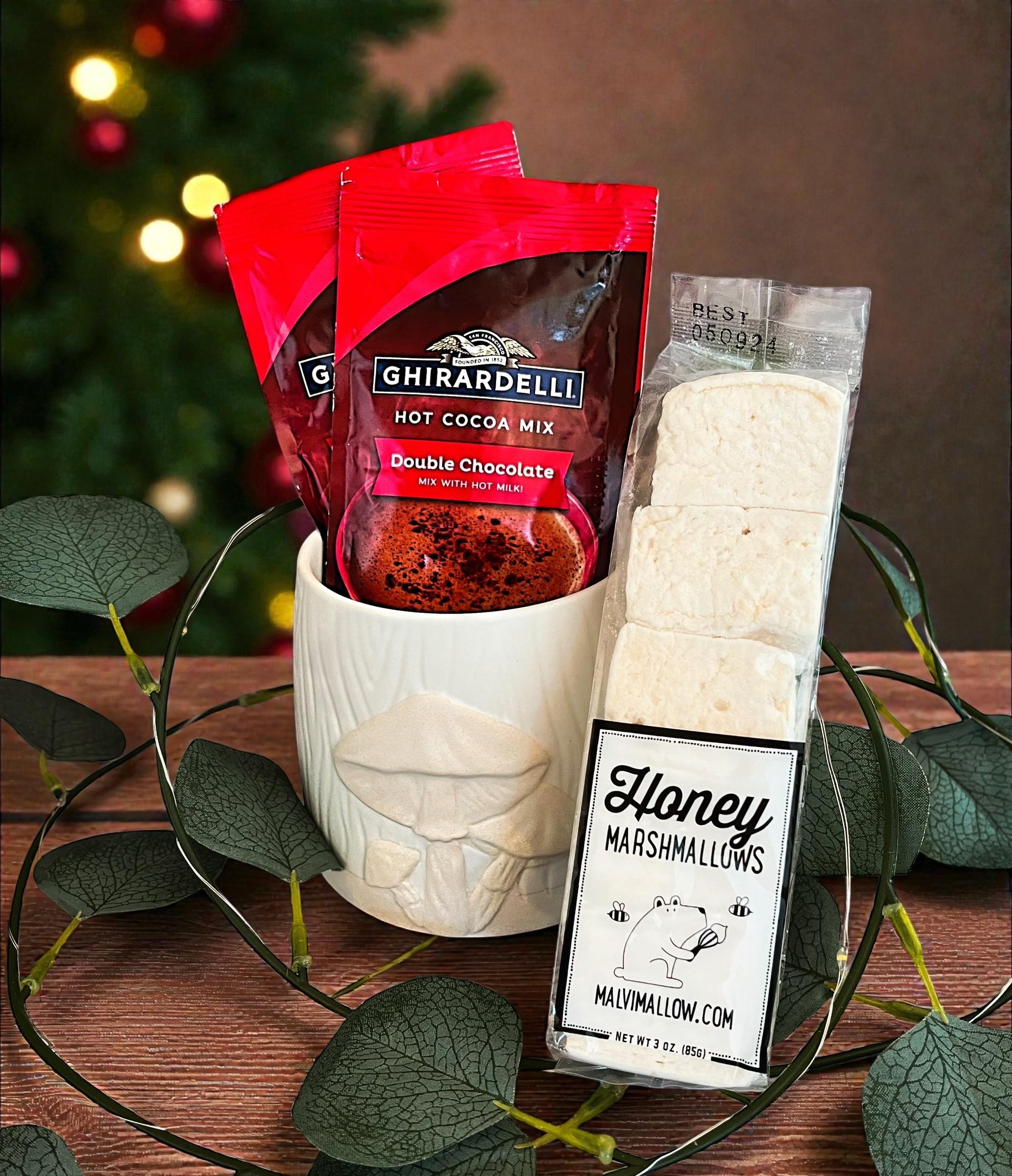 Gourmet Hot Chocolate Gift Set with Ceramic Mug, Double Cocoa Mix & Marshmallows