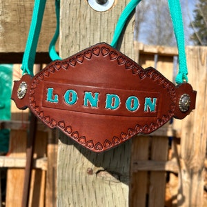 Custom Made Louis Vuitton LV Print Bronc Nose Halter