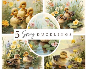 Vintage Ducklings Clipart: Spring Illustration Bundle (Commercial License)
