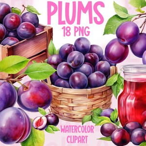 Plums Watercolour Clipart, Fruit Summer, Plums Print, Purple Juicy Plums, Plums Tree PNG images