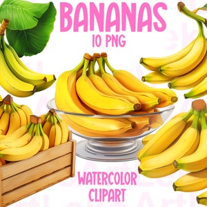 Bananen Aquarell Clipart, Tropische Früchte, Bananenernte, Obst Sommer PNG