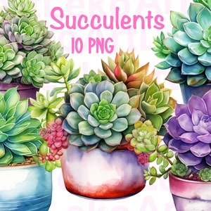 Clipart aquarelle de succulentes, succulentes en pot, plantes en pot pour la maison, illustration florale, illustration de cactus