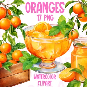 Orangen Aquarell Clipart, Obst Sommer, Orangen Druck, Orange Citrus, Orangen PNG-Bilder, Citrus Mandarin, Orange Tangerine