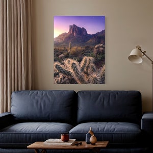 Wall Art Print Arizona Teddybär Cholla Kaktus Sonnenuntergang Landschaft Natur Fotografie Moderne Kunst Dekor Leinwand Poster Acryl Metall Glänzend