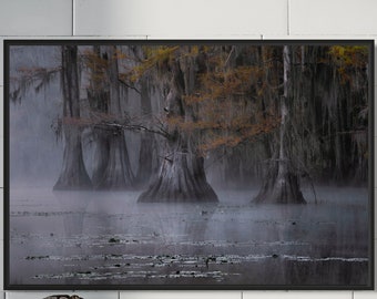 Wall Art Print Texas Caddo Lake Texas Landscape Nature Photography Modern Art Decor Canvas Poster Acrylic Metal or Glossy Print